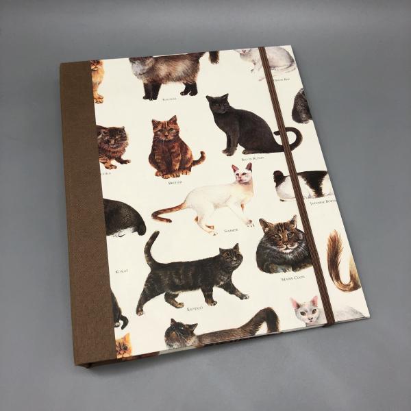 Ordner Ringbuch A5 braun Katzen Gummiband Front